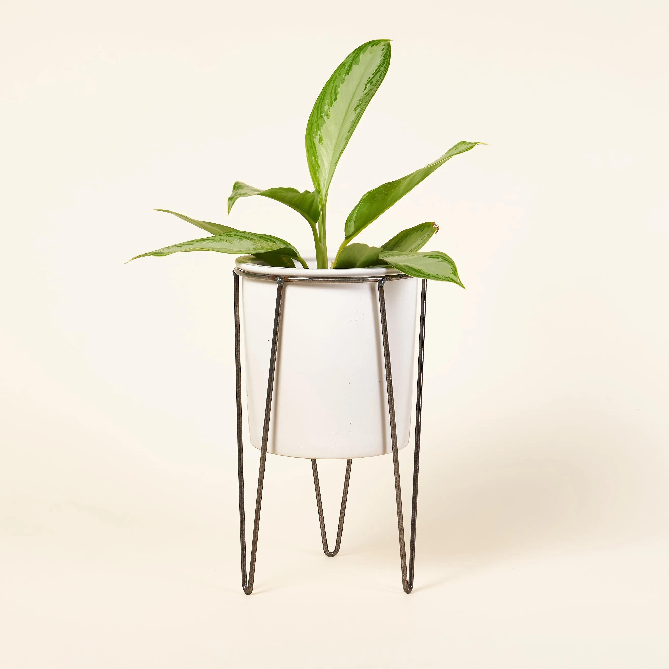 Cassie Ceramic Planter with Stand