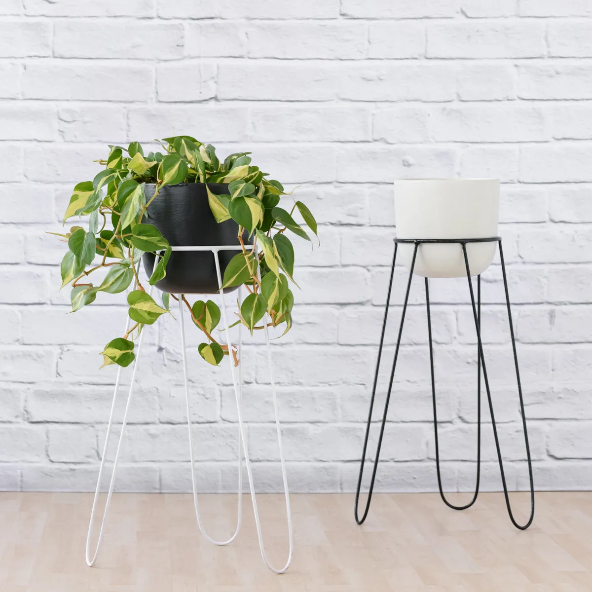 Hairpin Plant Stand - White