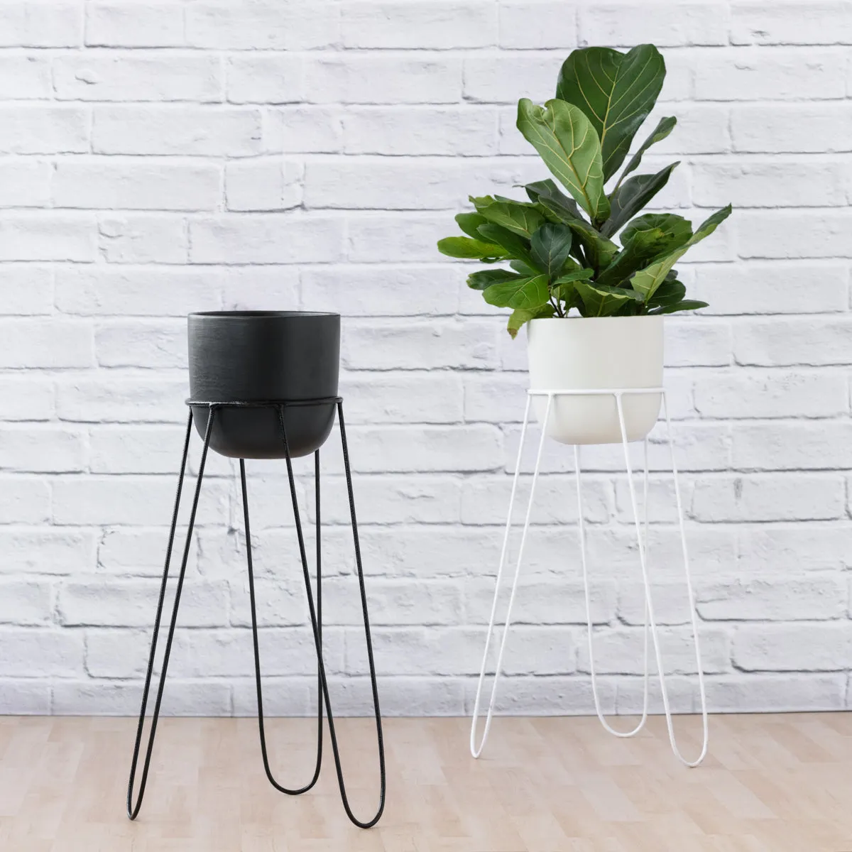 Hairpin Plant Stand - White