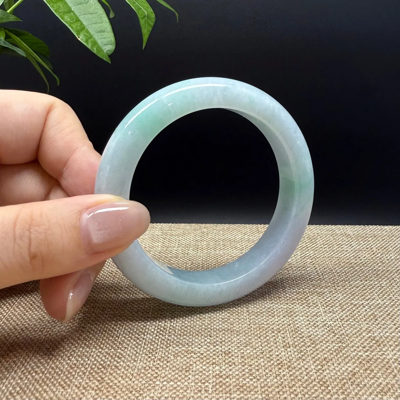 High Genuine Burmese Lavender Green Jade Jadeite Bangle Bracelet ( 53.5mm )