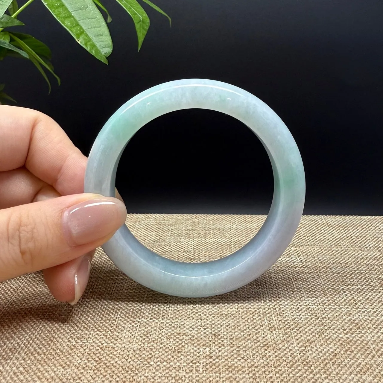 High Genuine Burmese Lavender Green Jade Jadeite Bangle Bracelet ( 53.5mm )