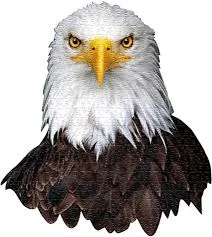 I AM EAGLE Puzzle